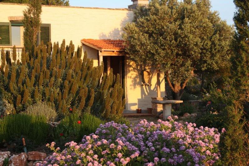 To The Garden Guest House Angairiá Екстериор снимка